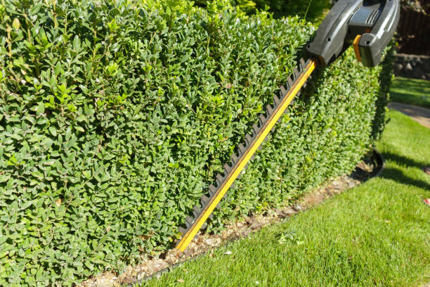 Aufgaben für Hobbygärtner